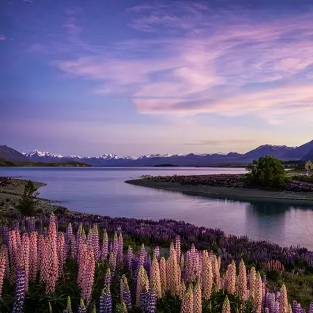 Lake Tekapo