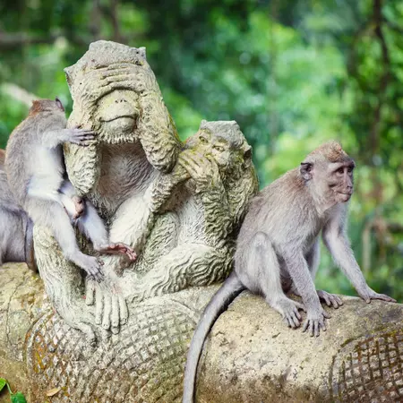 Ubud Monkey Forest