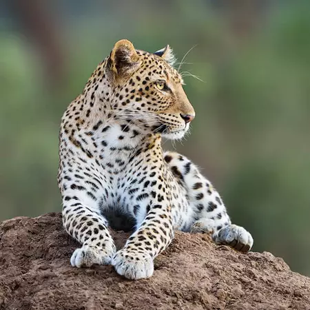 Lower Zambezi