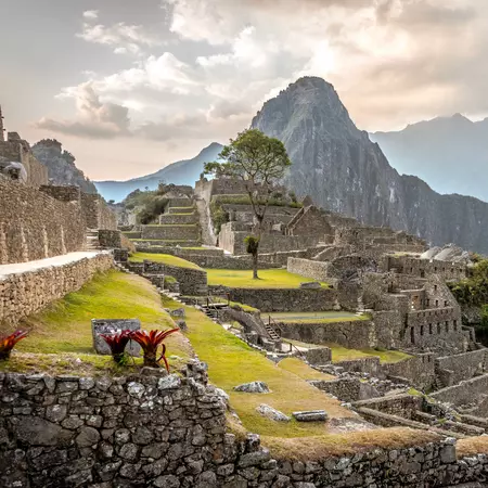 Machu Picchu