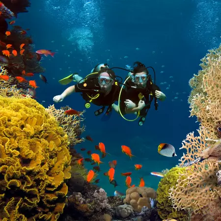 Maldives Diving