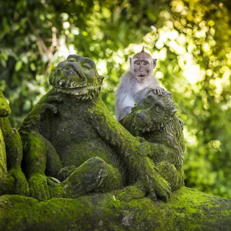 Monkey Forest, Ubud