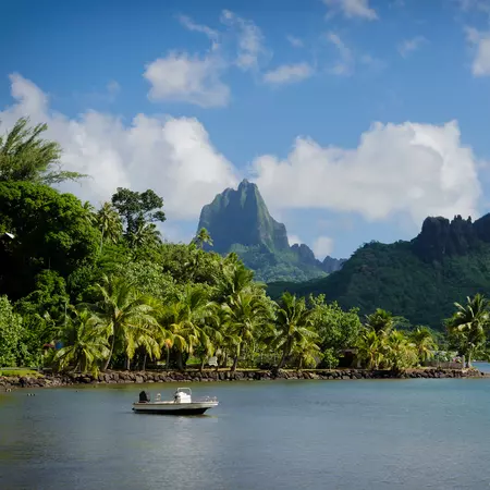 Moorea