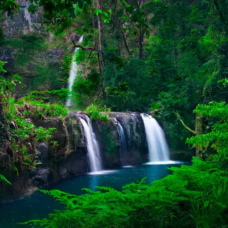 Nandroya Falls, Atherton Tablelands