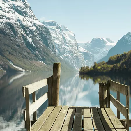 Norwegian Fjord