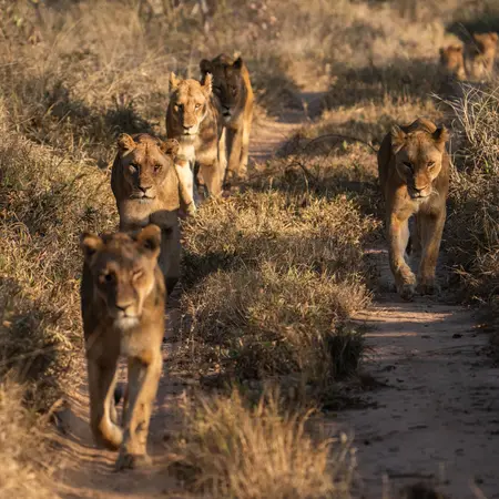 Kruger National Park