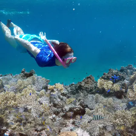 Snorkeling in Fiji
