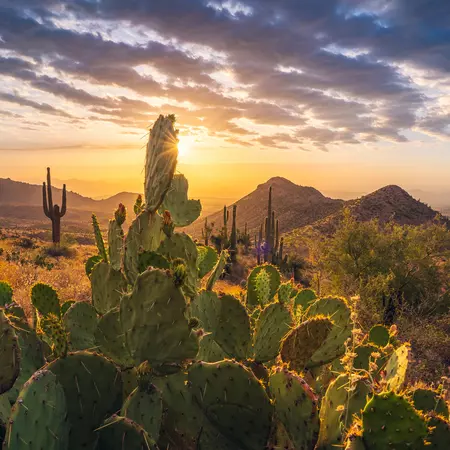 Sunrise, Scottsdale