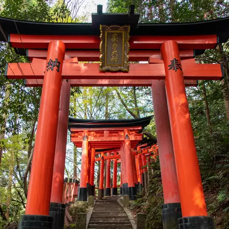 The Senbon Torii