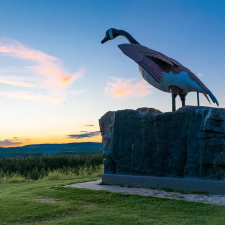 Wawa's Famous Goose