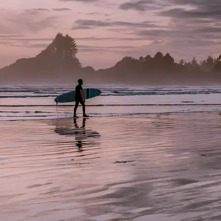 Tofino