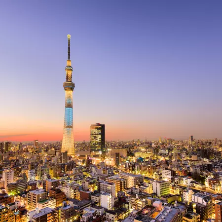 Tokyo City Skyline