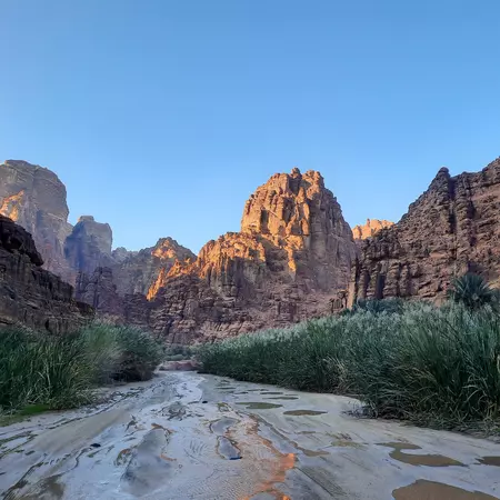 Wadi Disah