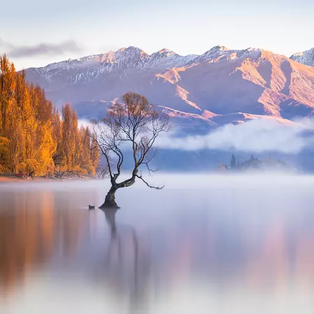 Wanaka