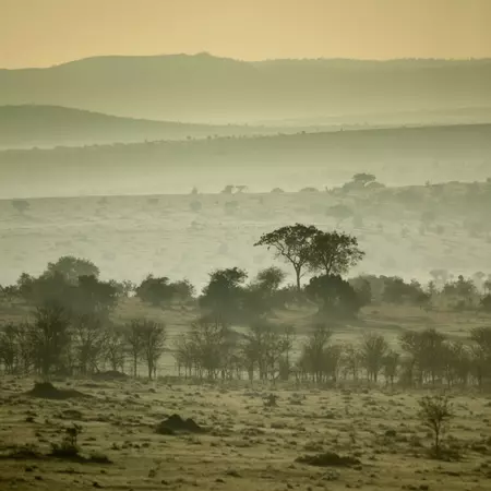 Serengeti