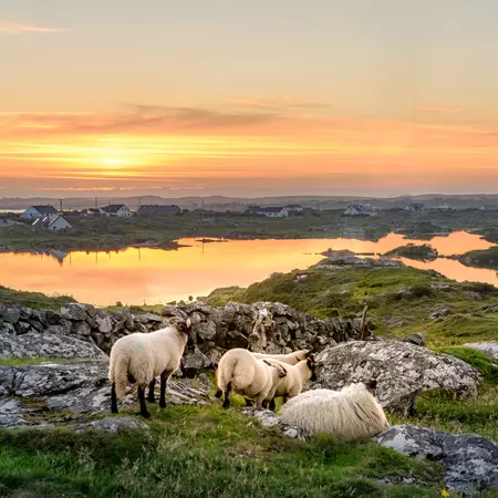 Clifden Sunset