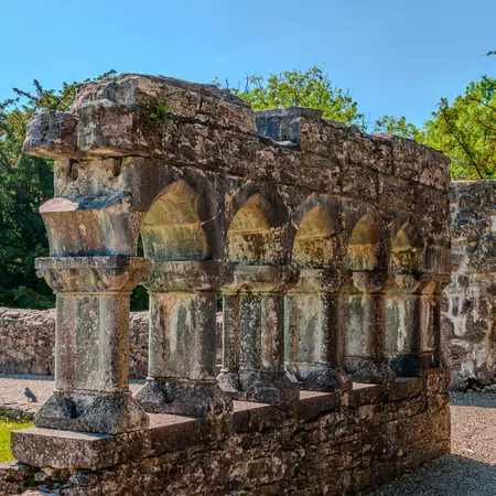 Cong Abbey