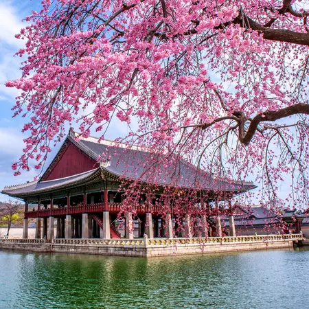 Gyeongbokgung palace in spring at Seoul city South Korea