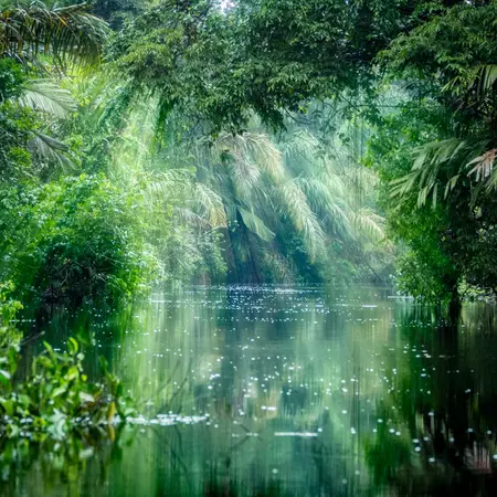 Tortuguero National Park
