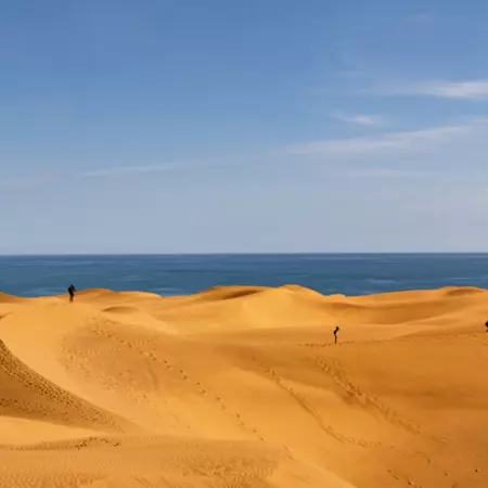 Dunes of Maspalomas