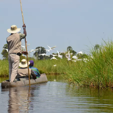 mokoro canoe on the Okavango Delta