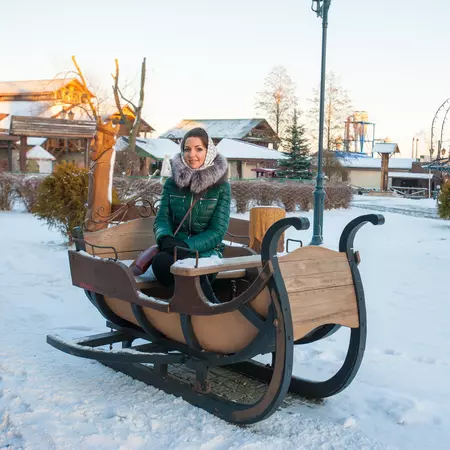 Reindeer Sleigh