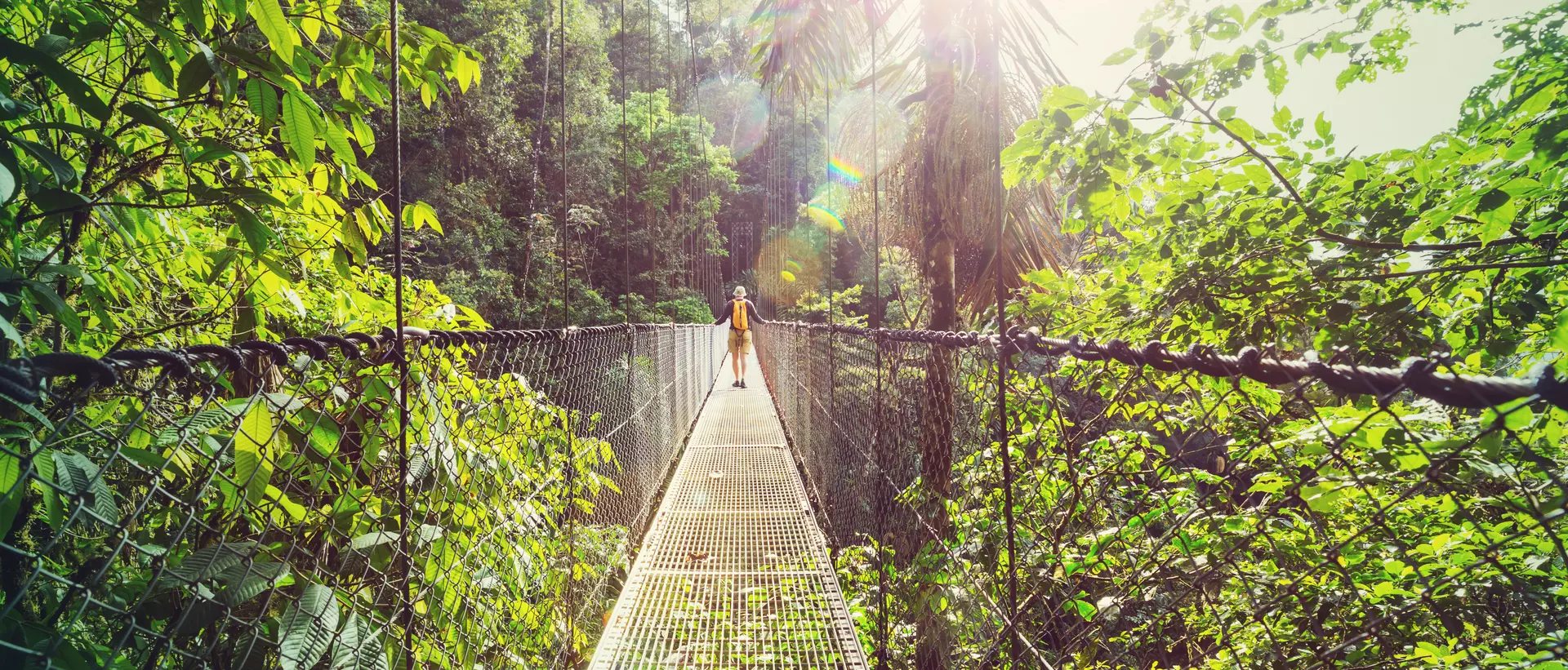 Hiking in green tropical jungle, Costa Rica, Central America