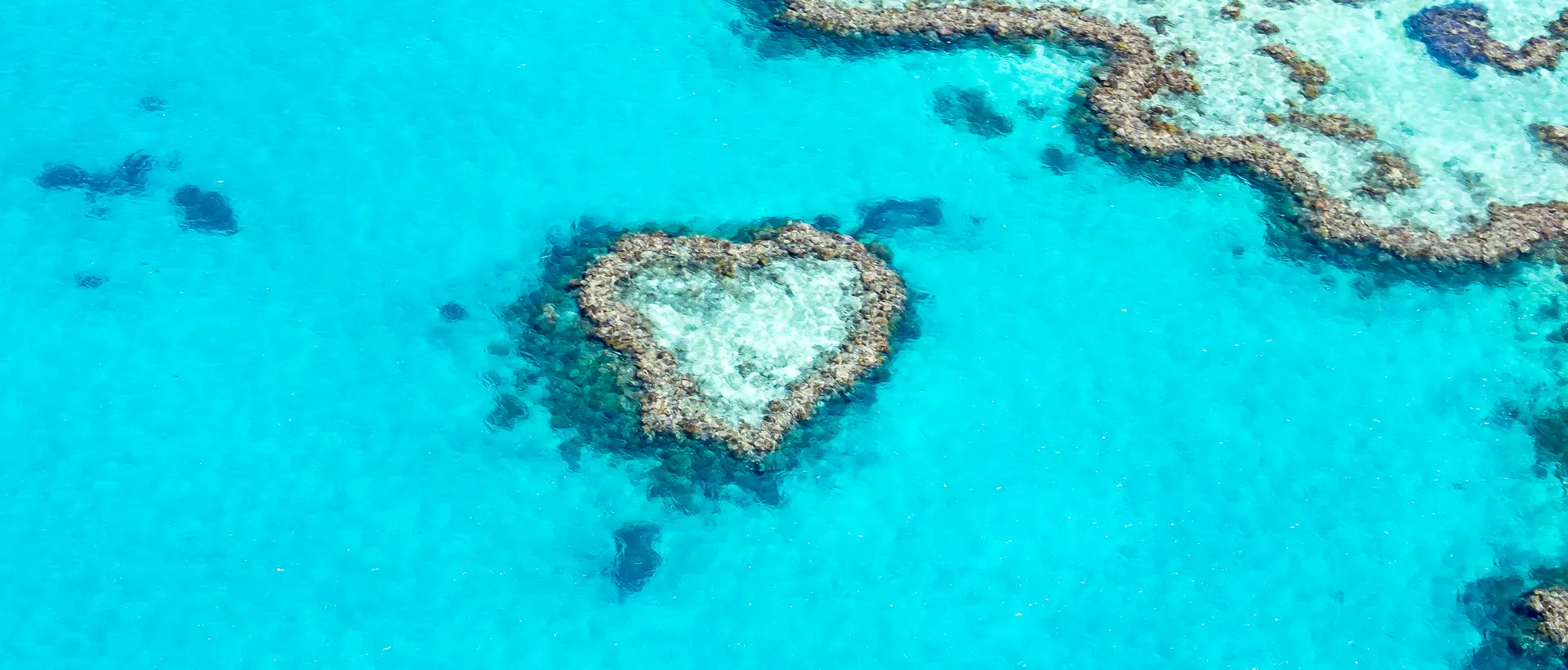 Heart Reef found in the Great Barrier Reef along the turquoise waters of the Whitsunday islands in Queensland Australia.