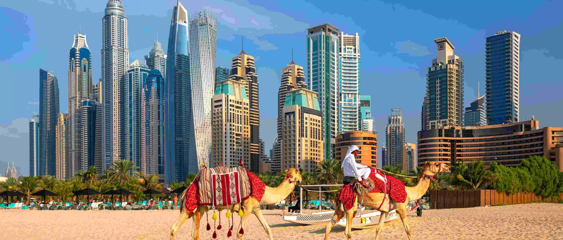 View of Dubai Marina, camels and famous Jumeirah beach in Dubai, United Arab Emirates.