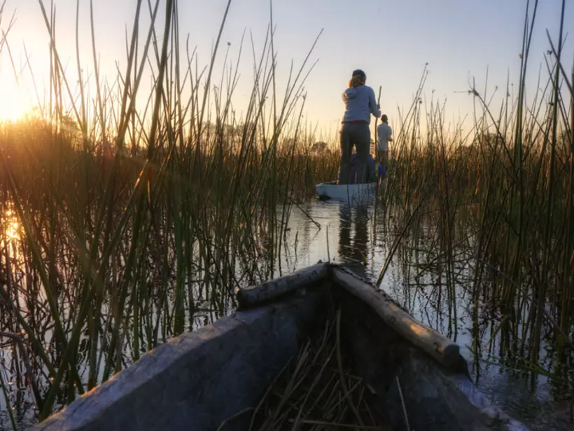 Exploring the Okavanaga by boat is always a highlight of your Maun tours.