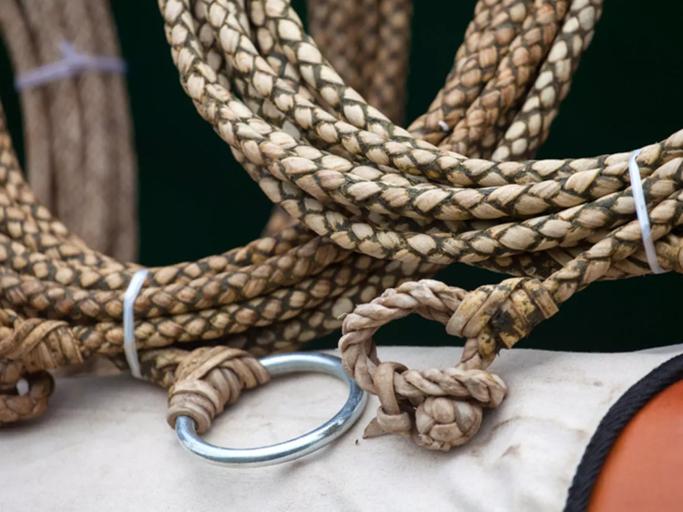 Attributes of the gaucho