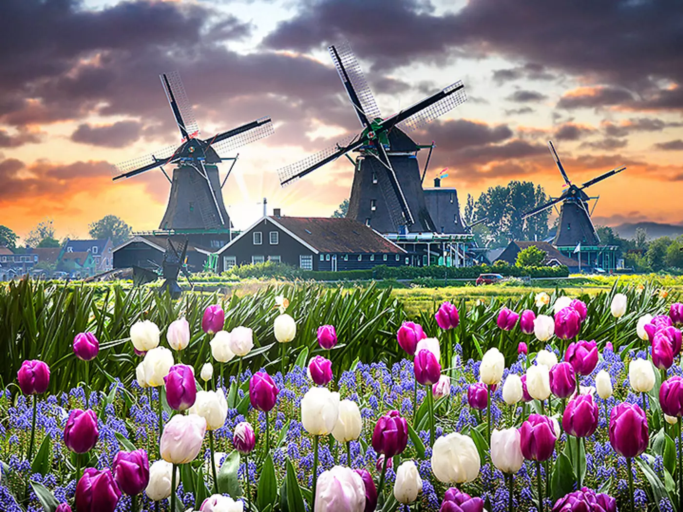 Explore the UNESCO World Heritage site of Kinderdjik, a village known for its 18th century windmills