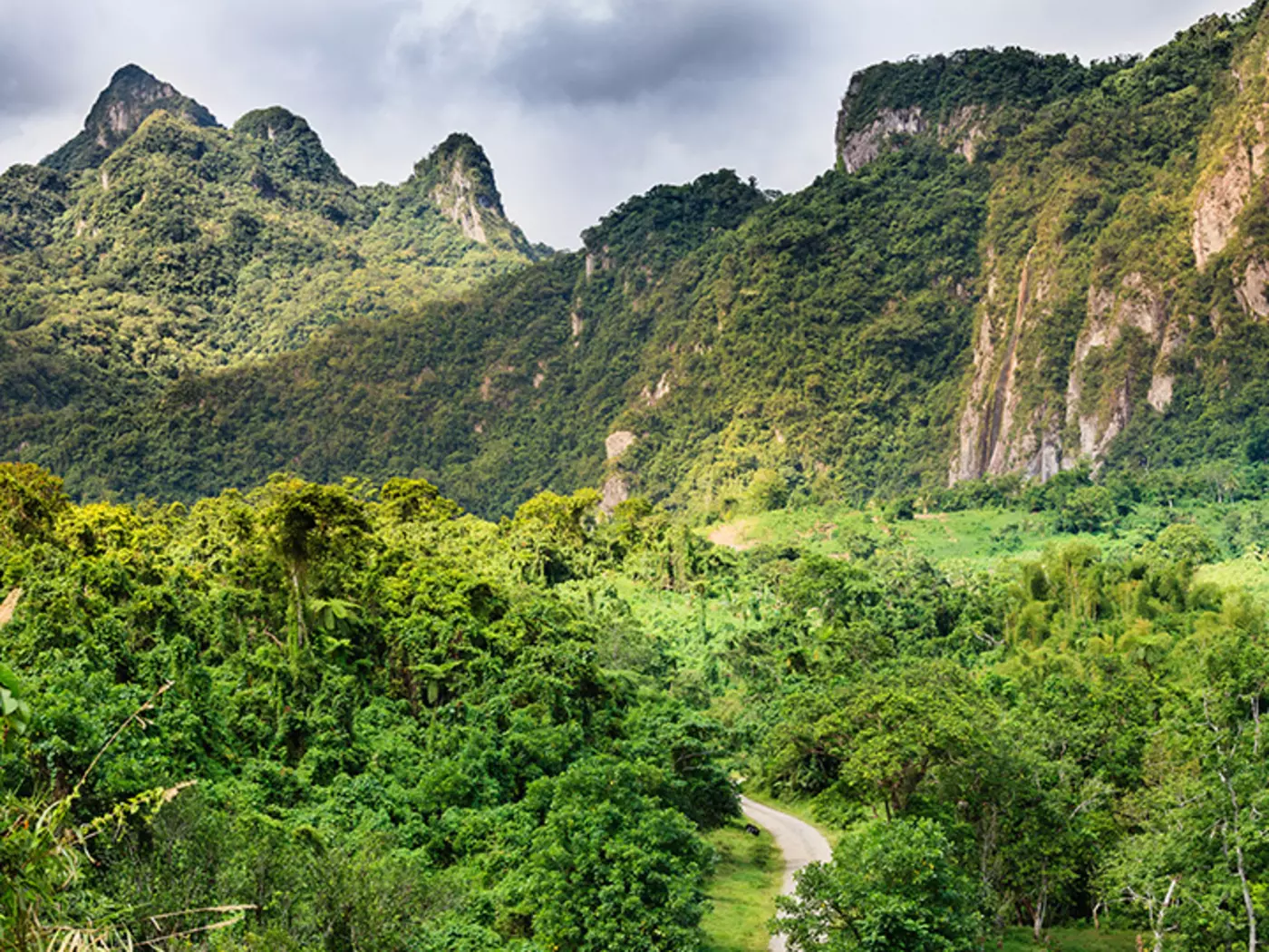 Wander the lush forests of the island to explore a stunning natural sight Wander the lush forests of the island to explore a stunning natural sight