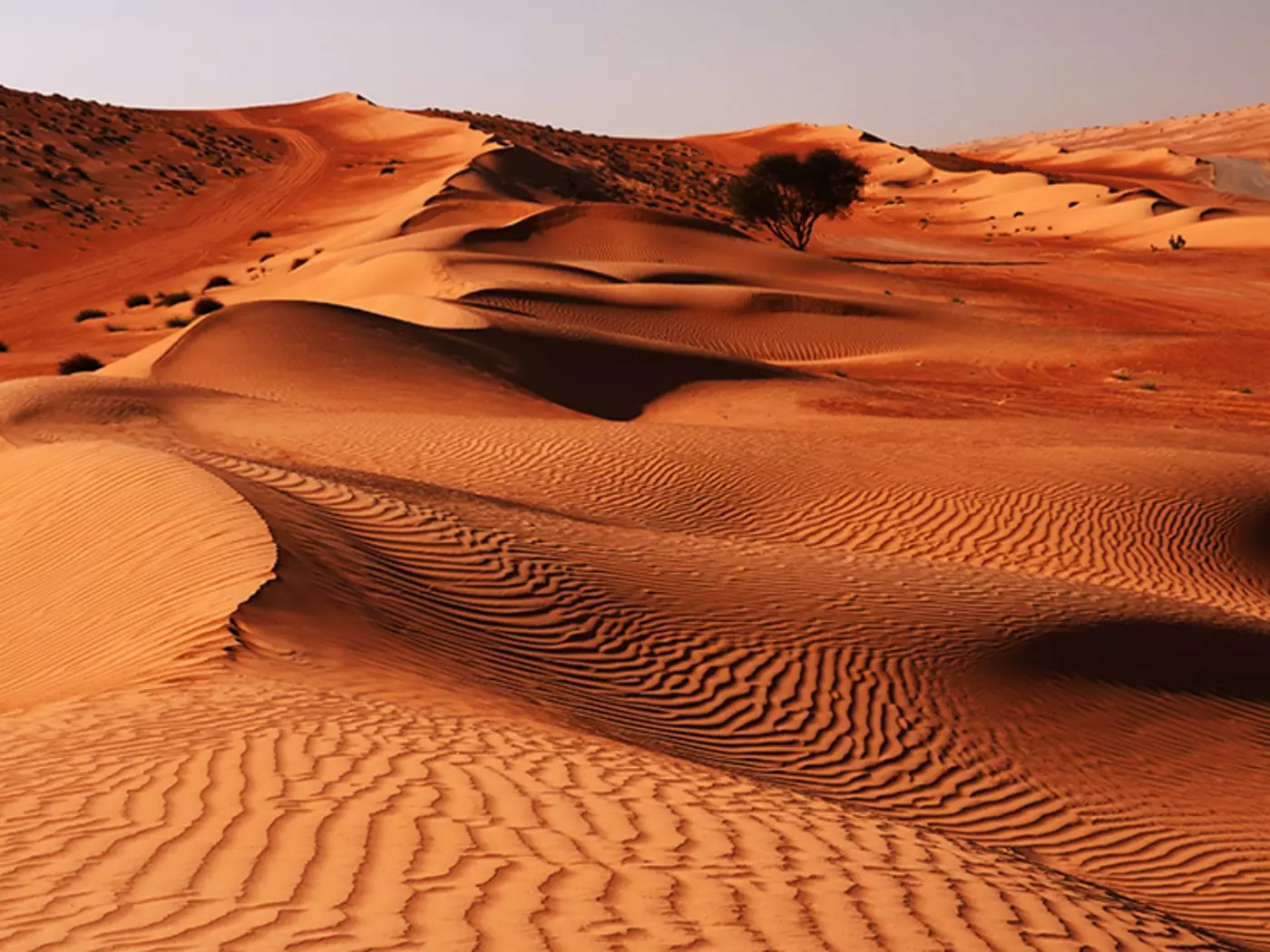 Explore the vast Wahiba Sand Dunes, turning from golden to copper throughout the day