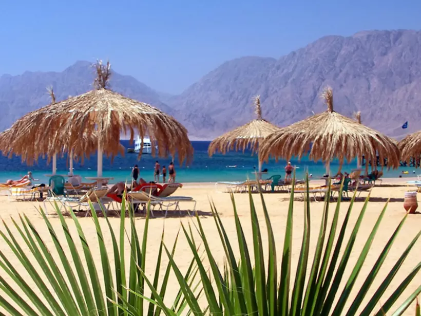 Palms and umbrellas at the Red Sea