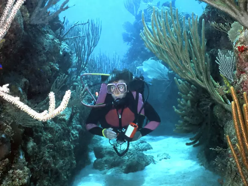 Roatan is home to the second largest coral reef in the world and a must see for divers during their Honduras tour
