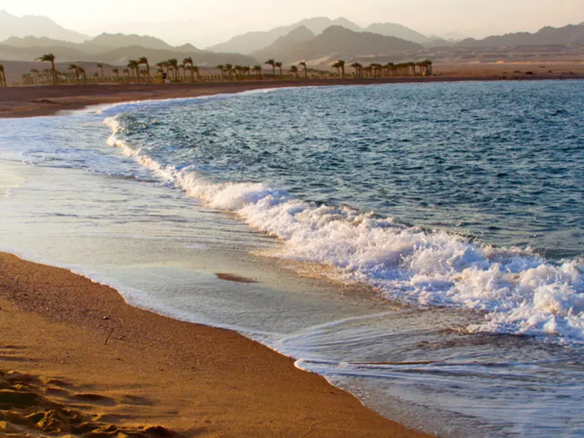 The Red Sea