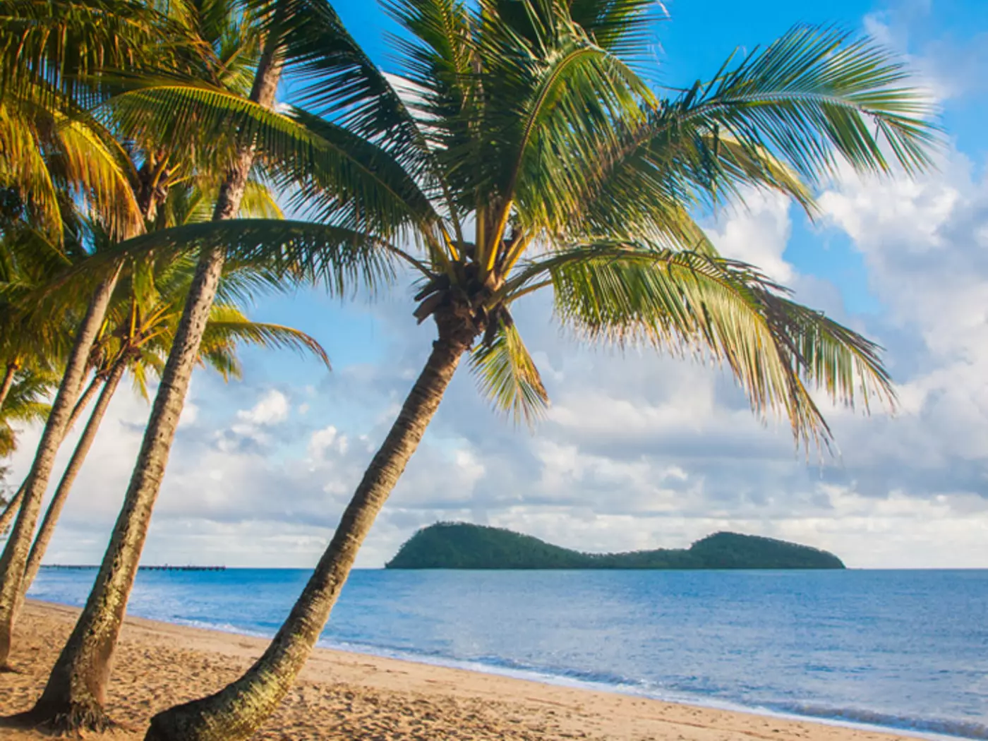 A beautiful tropical beach with palm trees