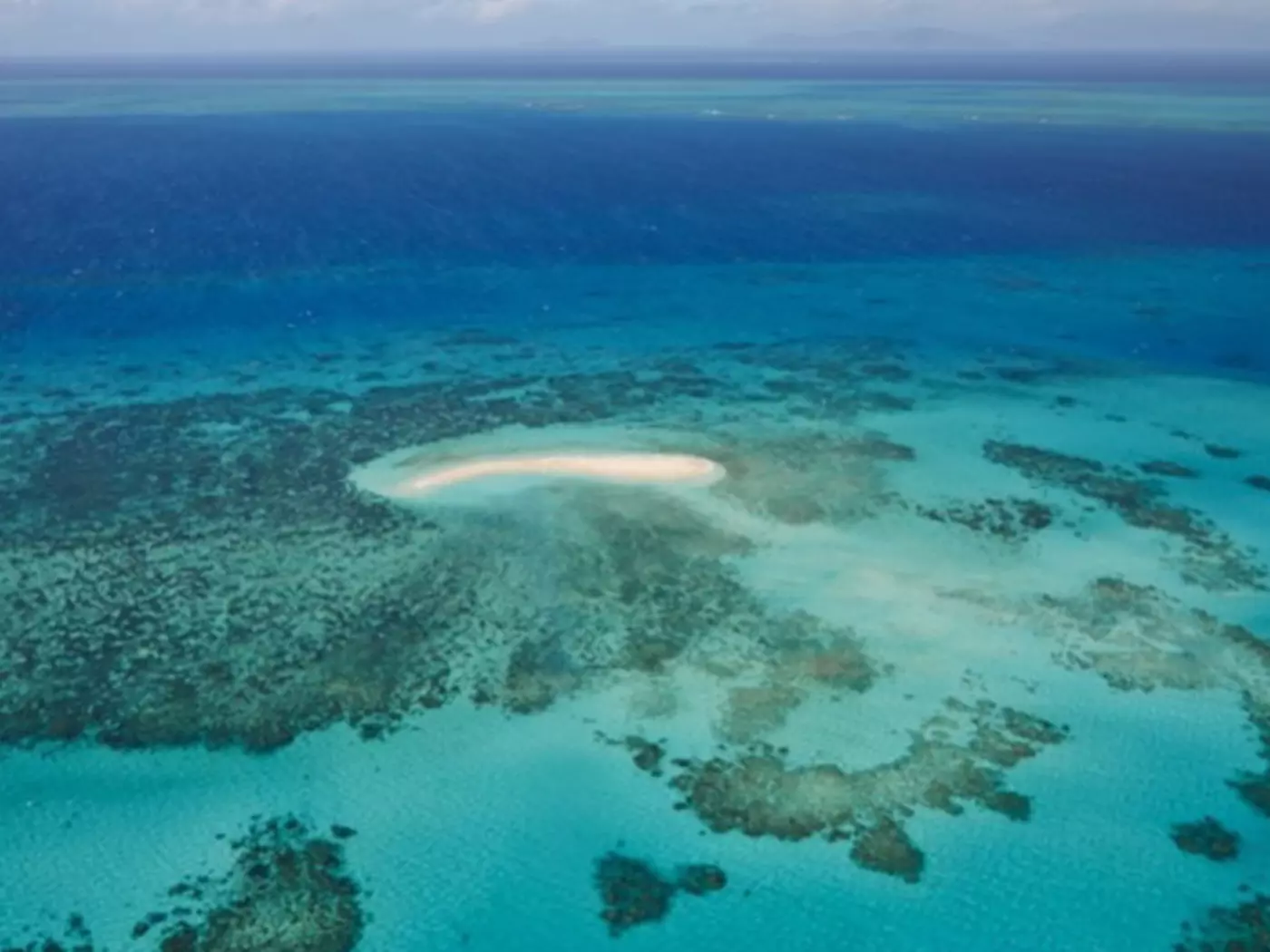 The Great Barrier Reef