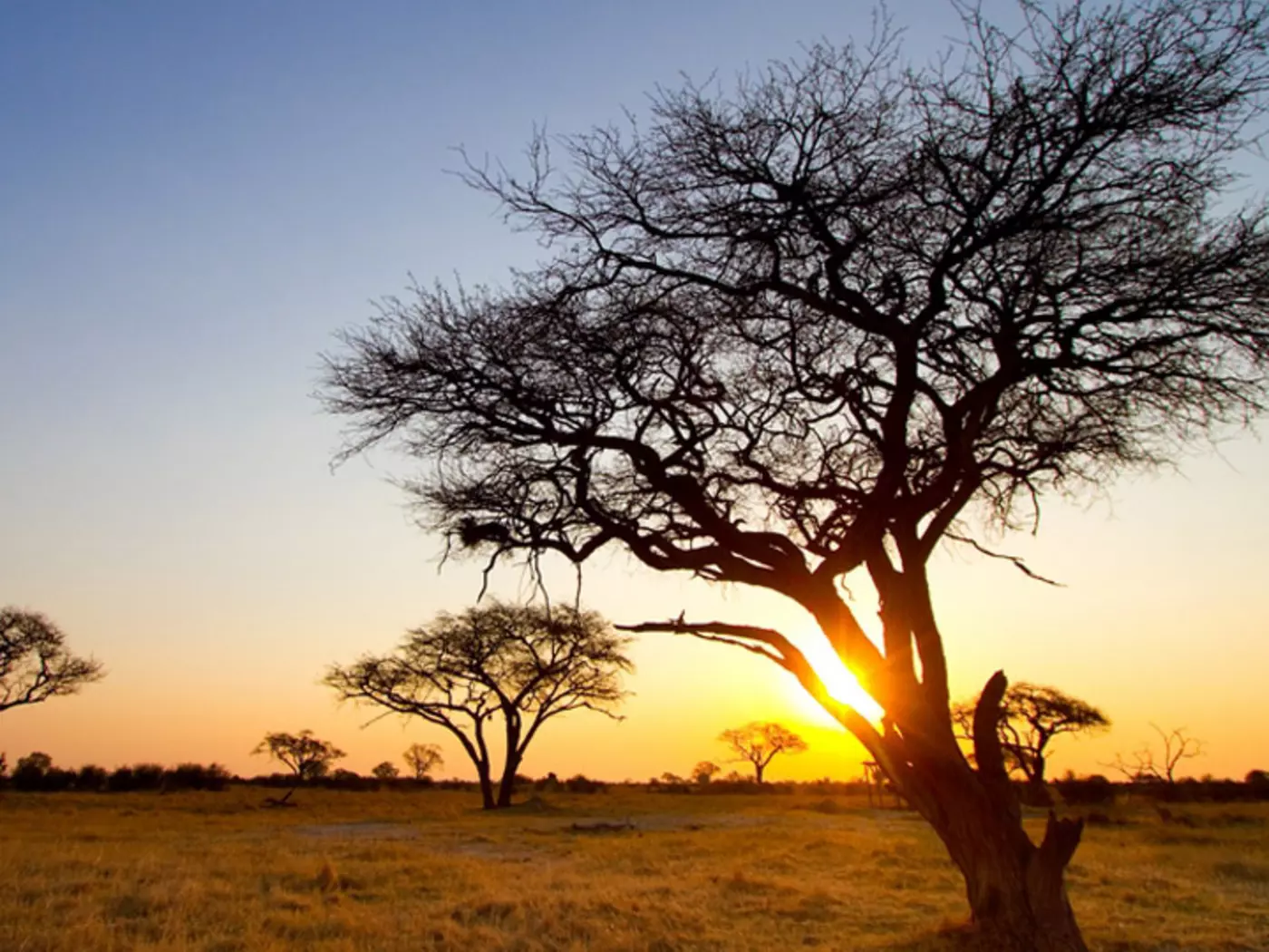 Sunset in Hwange National Park