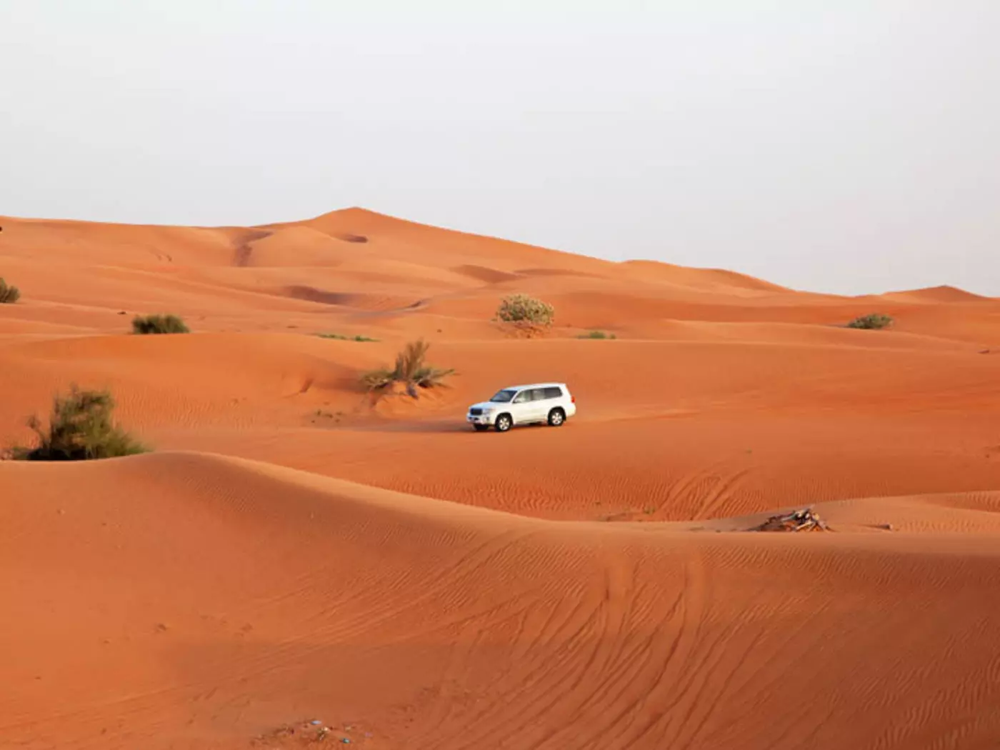 Discover the vast Arabian Desert on a private 4WD safari