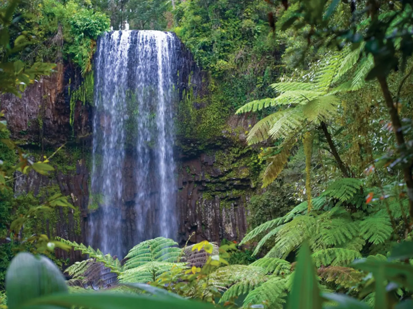 Millaa Millaa Falls, Atherton Tablelands