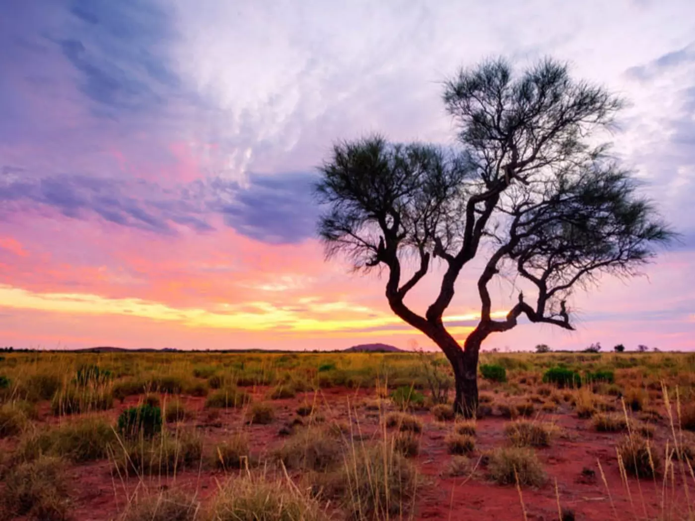 Experience tranquility as you escape to the Outback of Australia and witness a magical sunset