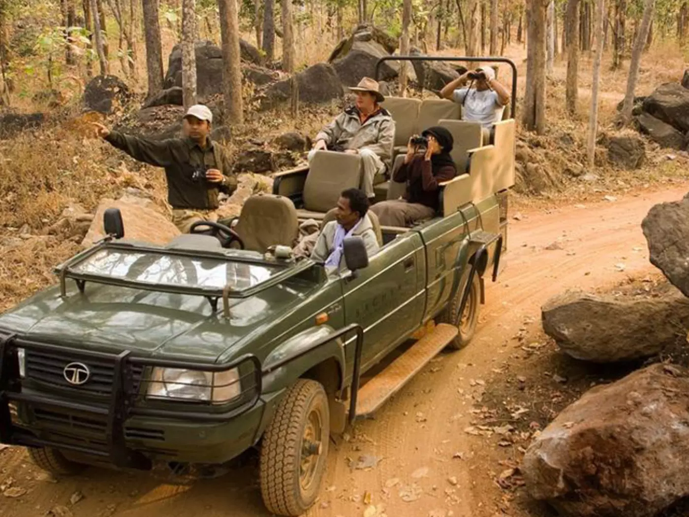 Unforgettable game drives in India's best national parks
