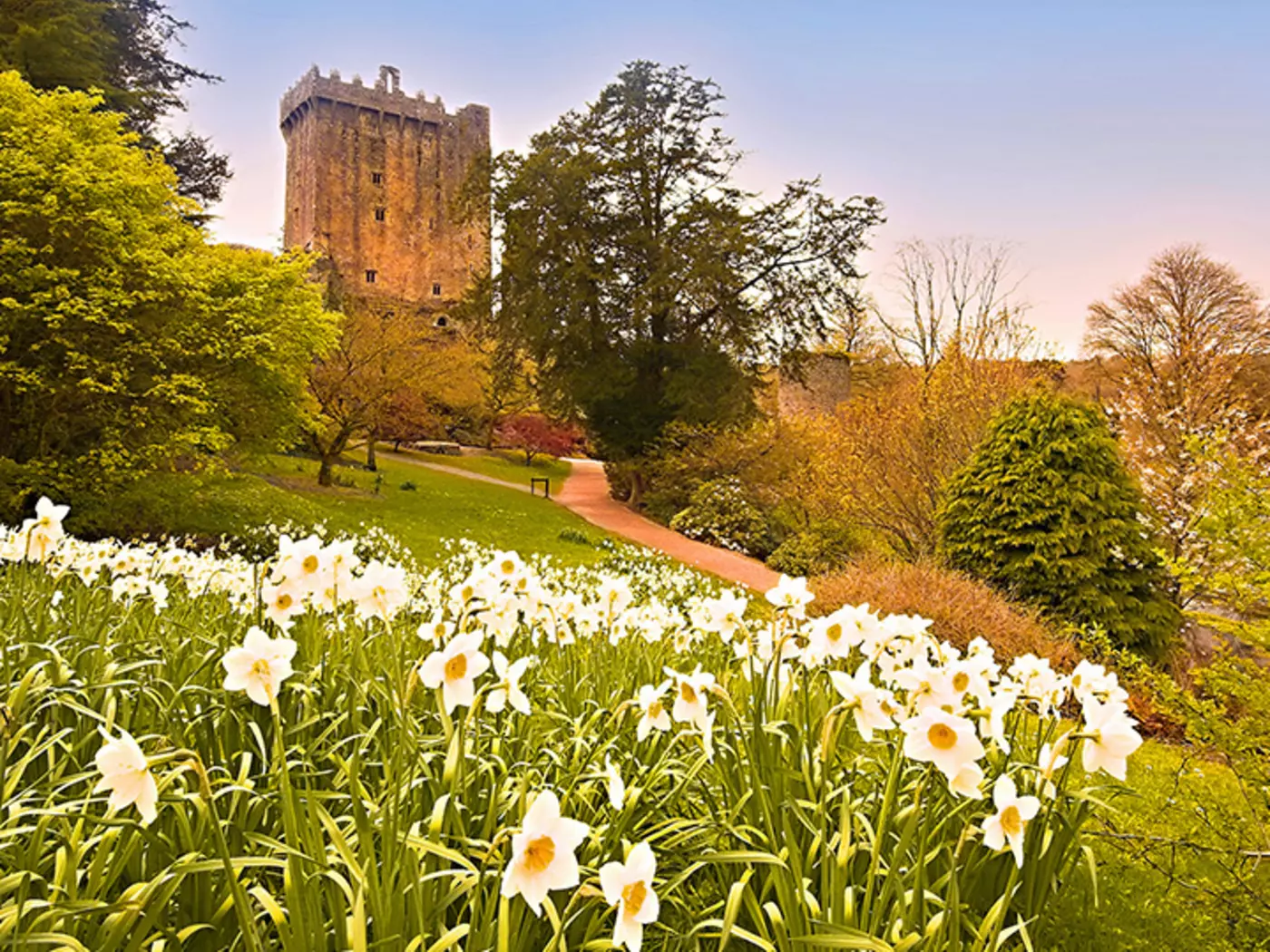 Visit Blarney Castle