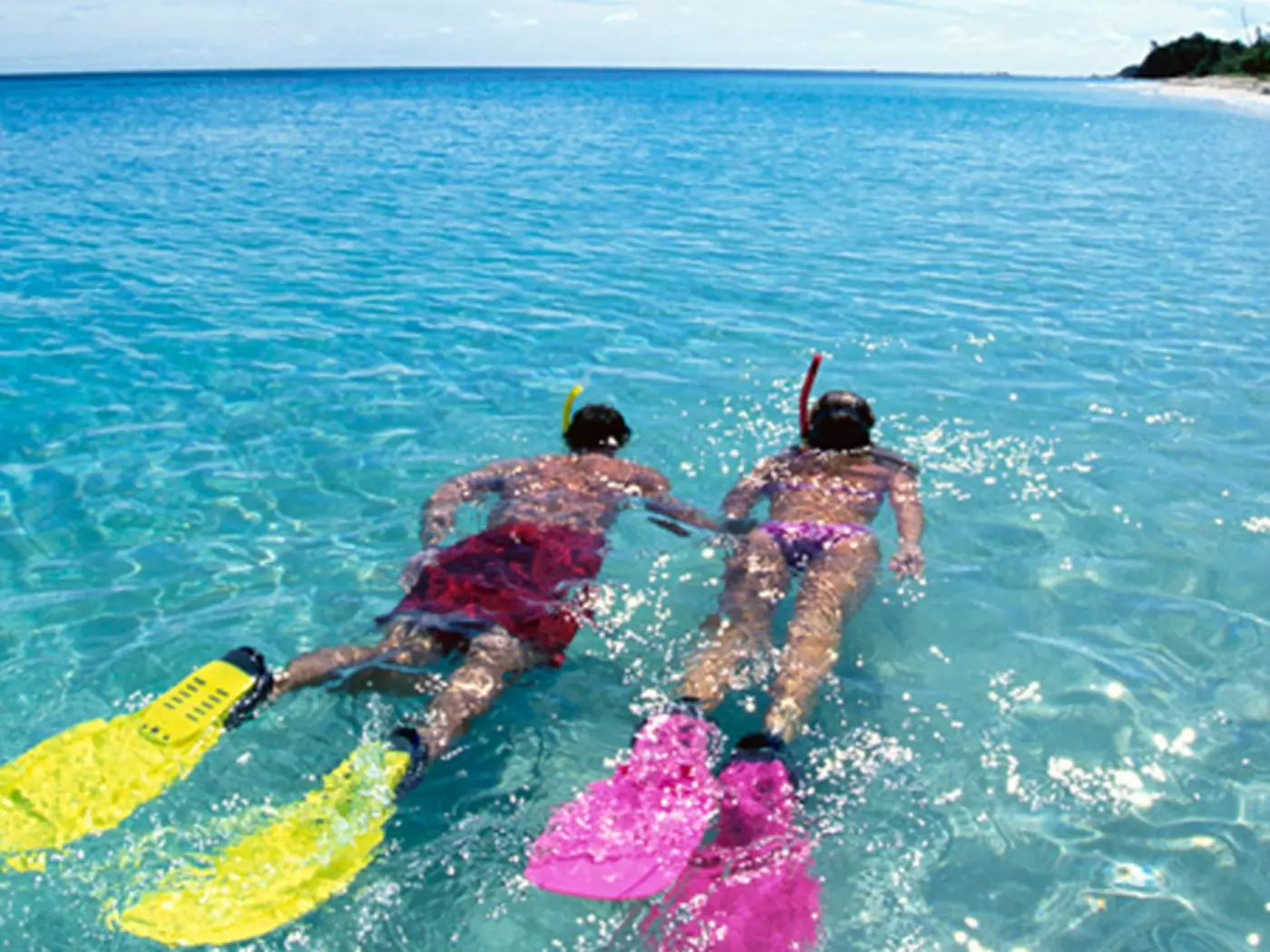 Explore the sea through snorkelling