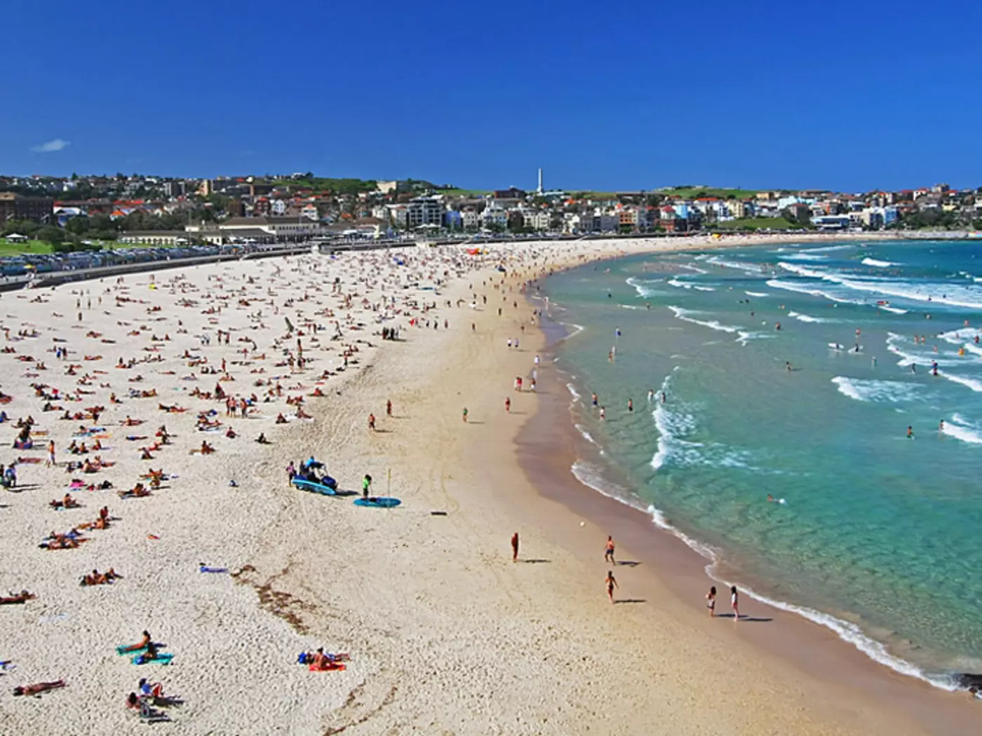 Bondi Beach