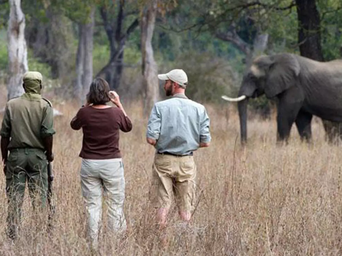 Walking Safari, South Luangwa Park