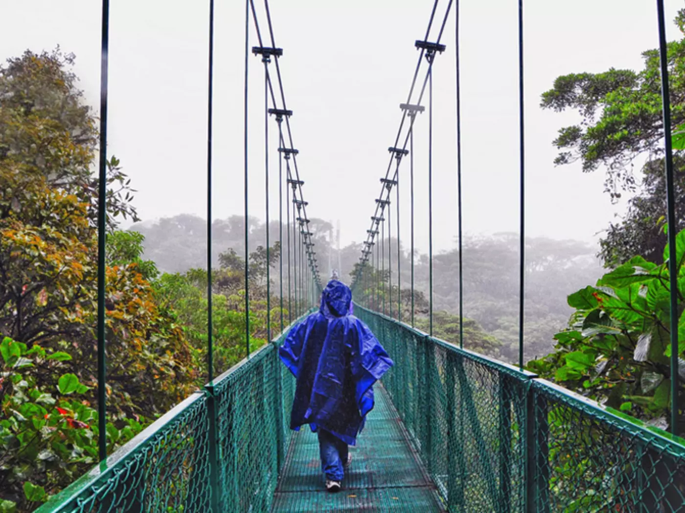 Costa Rica's unique rainforests