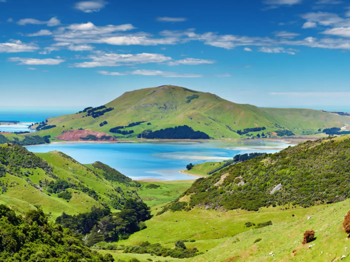 Coastal view of Otago Peninsula